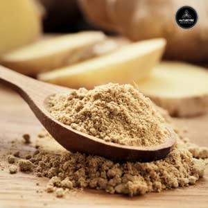 Ginger Root Powder 1lb by Naturevibe Botanicals Premium Quality Zingiber officinale Roscoe | Keto Friendly | Non-GMO and Gluten Free (16 ounces) [Packaging may vary]