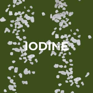 PURE OCEANIC ROOT IODINE - Non-Gmo, Plant Based, Natural Minerals from Kelp