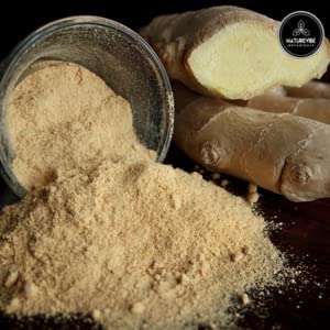 Ginger Root Powder 1lb by Naturevibe Botanicals Premium Quality Zingiber officinale Roscoe | Keto Friendly | Non-GMO and Gluten Free (16 ounces) [Packaging may vary]