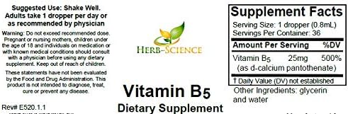 Liquid Vitamin B5 Drops, Pantothenic Acid Supplement, Alcohol Free, Vegan, Non-GMO Liquid Formula, 1 Fl Oz