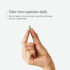 Cognitive Max Brain Health Supplement - DMAE Bacopa Ginkgo GABA Phosphatidylserine - Brain Nutrition Formula with B Complex DHA Vitamins Minerals - Daily Cognitive Wellness - Vegan - 60 Capsules