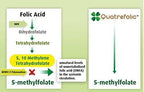 Advanced Blend MTHFR with 1000 mcg Quatrefolic. 1500 mcg Methylcobalamin with Amino Acids to Aid in Detox. Intrinsic Factor for B12 Absorption. 60 Veggie Capsules.