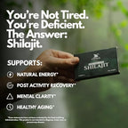Chuga Pure Himalayan Shilajit Tablets for Men & Women | Organic Shilajit Harvested 16,000 Feet | Lab Tested in USA, 75+ Fulvic Acid, Grade A, Immune Booster, Shilajit Tablets, 60 Servings (1)