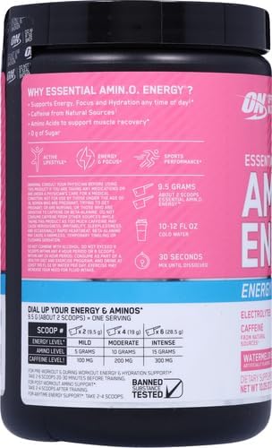 Optimum Nutrition Amino Energy Powder Plus Focus, with BCAA, Electrolytes, and Caffeine, Watermelon, 30 Servings (Packaging May Vary) (Pack of 6)