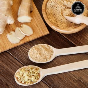 Ginger Root Powder 1lb by Naturevibe Botanicals Premium Quality Zingiber officinale Roscoe | Keto Friendly | Non-GMO and Gluten Free (16 ounces) [Packaging may vary]