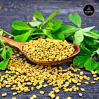 Naturevibe Botanicals Fenugreek Seeds Whole, 5lbs | Methi seeds | Gluten Free & Non-GMO | Hair and skin health (80 ounces)