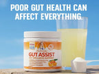 Leaky Gut Support Powder | L-Glutamine Gut Lining Formula | Gut Assist by Dr. Danielle, Orange Flavor