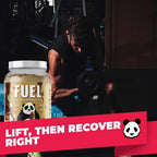 Underground Bio Labs Panda Fuel Premium Protein Whey,Hydrolyzed Collagen,Casein,Probiotics, Enzymes, Keto Friendly,Time Release, 25 Servings (2.5 Pound, Chocolate Ice Cream)