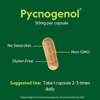 BESTVITE Pycnogenol 50mg (60 Capsules) - French Maritime Pine Bark Extract - No Stearates - Gluten Free - Non GMO
