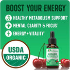 Organic Vitamin B Complex Liquid Drops | B Vitamins Complex Supplement with B3, B6, B7, B9 & Methyl B12 Drops for Adults & Kids | Vegan Cherry Flavor 1oz | 60 Servings / 2 Month Supply