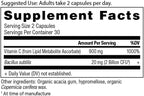 Ancient Nutrition Probiotics and Vitamin C Supplement, Supports Healthy Immune System and Gut Health, Made Without GMOs, Superfoods Supplement, Paleo and Keto Friendly, 30 Servings
