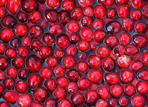 lower uric acid naturally - URIC ACID - uric acid balance, uric acid and joint, cranberry pills for women, cranberry extract, cranberry juice, cranberry supplement, tart cherry extract 1Bot 60Caps