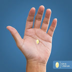 Piping Rock Mini Fish Oil 1340mg | 200 Softgels | Omega-3 Supplement for Men & Women | Lemon Flavor | Non-GMO and Gluten Free