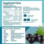 Hyland's Kids Organic Elderberry Plus Gummies, Organic Black Elderberry with ZINC and Vitamin C, Immune Support for Children, 48 Vegan Gummies