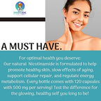 Nicotinamide 500 mg - Vitamin B3 – Energy; Cell & Skin Health. Value Priced - Flush-Free - 120 Veggie Caps by Foxxy Doc