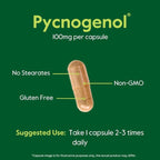 BESTVITE Pycnogenol 100mg (120 Capsules) (60x2) - French Maritime Pine Bark Extract - No Stearates - Gluten Free - Non GMO