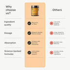 OMRE Quercetin and Fisetin Supplements - Third-Party Tested Senolytic Supplements for Aging Support - 500mg Quercetin Phytosome and 100mg Fisetin - Highly Bioavailable Forms