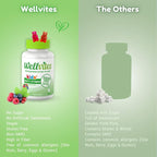 Wellvites Kids Multivitamin Gummies - Sugar Free, Vegan, Non-GMO, Vitamin A, D, B6, B12 and C - No Artificial Sweeteners, Gluten-Free, Gelatin-Free - 60 Count (30 Day Supply)