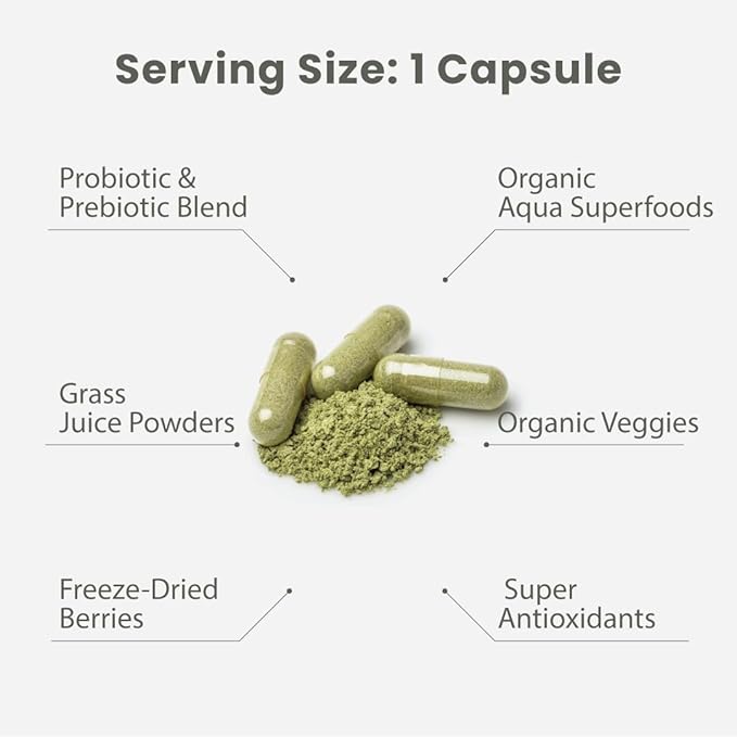 Paradise Herbs Earth's Blend Once Daily Multivitamin, No Iron, 48 Organic Superfoods, Probiotics, Antioxidants, Vitamins A, B12, C, D, K2,120 Count