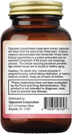 Advanced Spermidine Supplement, Fermented Wheat Germ Extract with Zinc & Vitamin B1, Cellular Health Support, Vegan Capsules, 60 Count