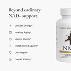 NMN 500mg - Nicotinamide Mononucleotide NAD+ Precursor Supplement, 60 Capsules, 30 Servings, Vegan, Non-GMO, Gluten Free, Made in USA