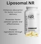 NR Capsules - Nicotinamide Riboside – 300mg High Purity Formula – Cellular Energy & Healthy Aging Support – 60 Veggie Capsules