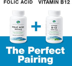 Earth's Splendor Folic Acid 800 mcg Supplement, Supports Heart Health, Supports Women's Reproductive Health, Smooth Coated Tablets (800 mcg, 200 Tablets, Pack of 2)