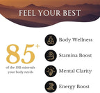 Super Natural Goods | High Nutritional Potency, Grade A Shilajit Resin with 85+ Plant-Derived Trace Minerals and Fulvic Acid, Energy & Immune Suport for Men and Women, 3rd Party US Lab Tested (30g)