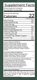 The Nerve Brand Neuropathy Superfood Blend, Greens Powder with R Alpha Lipoic Acid & Lions Mane for Nerve Support, Sunshine Orange, 30 Servings