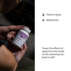 THORNE - ResveraCel (60 Capsules) & Memoractiv (60 Capsules) Bundle - Supports Brain Health & Healthy Aging - Gluten, Dairy & Soy-Free
