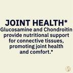 Spring Valley Glucosamine Chondroitin Dietary Supplement Tablets, Triple Strength Formula, 340 Count + Dipaze Gift (Container)