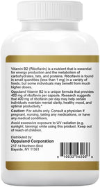 Riboflavin Vitamin B2 Supplement - B-2 Vitamin - Boosts Energy Metabolism & Cellular Function - Daily Nutritional Supplements for Men & Women - 400 mg Capsules - 240 Count