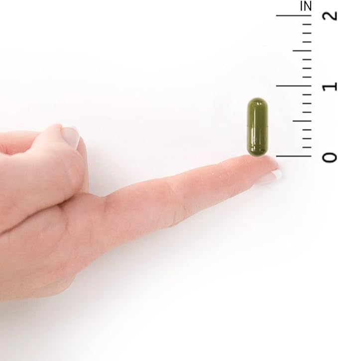 Garden of Life Vitamin D, Vitamin Code Raw D3, Vitamin D 2,000 IU, Raw Whole Food D3 Supplements with Chlorella, Fruit, Veggies & Probiotics for Bone & Immune Health, 60 Vegetarian Capsules