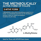 L Methylfolate 7.5mg plus Methyl B12 - Active 5-MTHF Form, MTHFR Supplement - Bloodstream Ready Methylated Folate + B12 Cofactor - Supports Mood, Homocysteine Methylation, Cognition (60 Capsules)