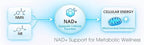 1LifeScience Blood Sugar Blend Supplement – NMN, Urolithin A, Berberine & Alpha Lipoic Acid – NAD+ Support Formula – cGMP Made in USA – 60 Veg Caps