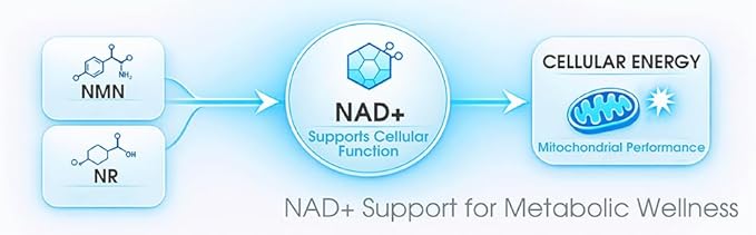 1LifeScience Blood Sugar Blend Supplement – NMN, Urolithin A, Berberine & Alpha Lipoic Acid – NAD+ Support Formula – cGMP Made in USA – 60 Veg Caps