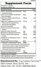 MIN12Absorb™ Essential & Trace Mineral Complex | Soy-Free, Non-GMO, Vegan, 30-Day Supply - Enhanced Absorption for Cellular Health and Daily Vitality