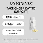 NR Capsules - Nicotinamide Riboside – 300mg High Purity Formula – Cellular Energy & Healthy Aging Support – 60 Veggie Capsules
