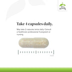 Terry Naturally Clinical Essentials - Supplement to Aid Bone, Cardiovascular & Immune Health - Supplement with Chelated Minerals - Supplement with B-Vitamins & Vitamin C - 120 Capsules (Pack of 2)