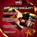 VASU Ayurveda Himalayan Shilajit Resin 400mg – Lab Tested Natural Energy Booster with Fulvic Acid & 85+ Trace Minerals – Pure Shilajit for Men & Women – 100 Days Supply for Strength & Stamina (2-Pack)