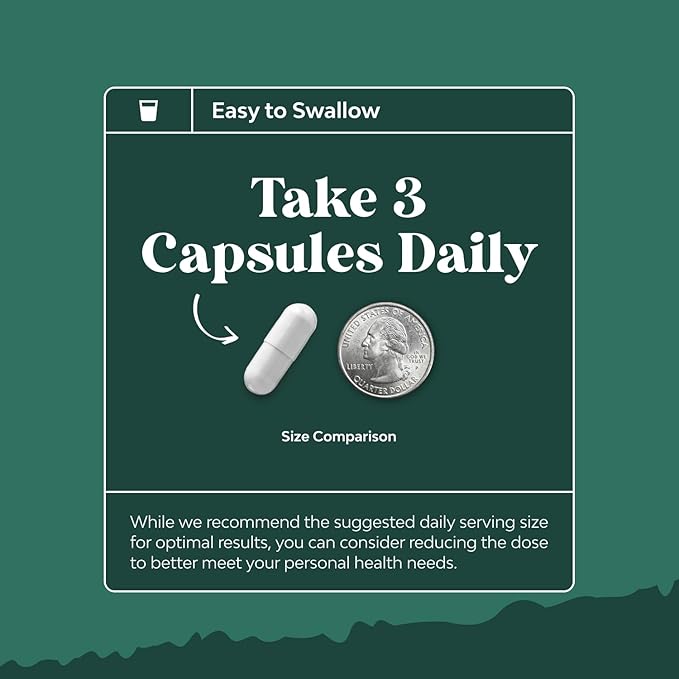 Bundle of Digestive Enzymes with Ox Bile Supplements for No Gallbladder for Pancrease Cleanse & Detox and High Absorption Magnesium Sleep Supplement Magtein Magnesium L-Threonate and Apigenin Theanine