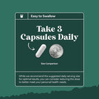 Bundle of Digestive Enzymes with Ox Bile Supplements for No Gallbladder for Pancrease Cleanse & Detox and High Absorption Magnesium Sleep Supplement Magtein Magnesium L-Threonate and Apigenin Theanine