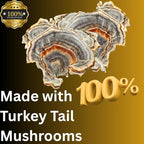 Turkey Tail Mushroom Liquid Extract Tincture, Daily Supplement, Double Extracted for High Potency, 2 Fl oz, 60 doses