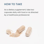 The Wellness Company Digestive Comfort - Bloat & Gas Relief, Anti-Heart Burn, IBS, Fast Acting, Gut Health - 5 Enzymes, Peppermint & Ginger Root | 60ct (1 Month Supply)