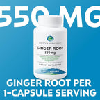 Earth's Splendor Ginger Root 550 mg Supplement for Men & Women, Supports Digestive Health, No Artificial Color or Preservatives (550 mg, 100 Capsules)