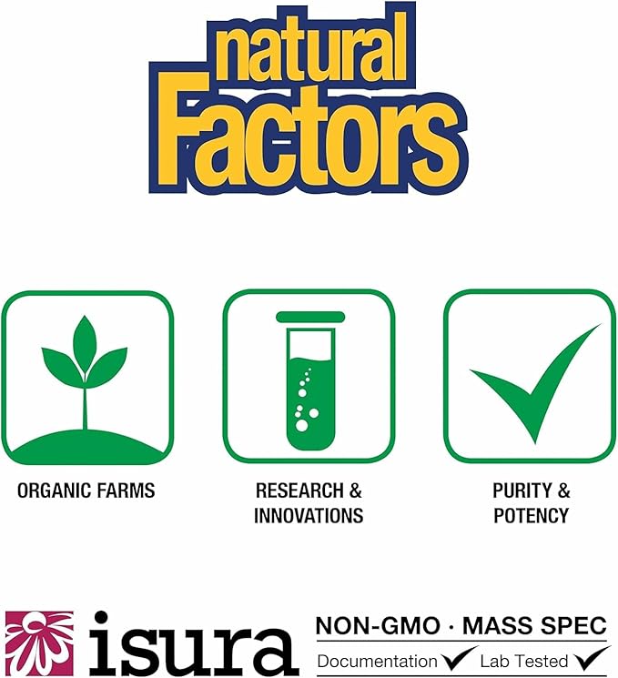 Natural Factors, High Potency Multi Enzyme Vegetarian Formula, Plant-Based Digestive Aid, 120 Capsules