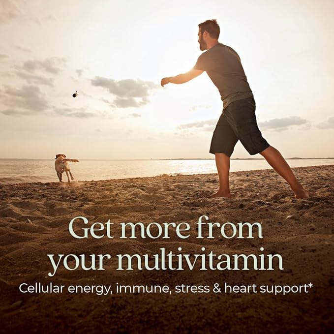 New Chapter Men’s Multivitamin, B6, Extra B12, D3, Vitamin C & Zinc, Immune, Heart, Cellular Energy, and Brain Health, Gentle on The Stomach, One Daily, Non-GMO, Gluten-Free, 18+, 96 Tablets