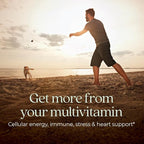 New Chapter Men’s Multivitamin, B6, Extra B12, D3, Vitamin C & Zinc, Immune, Heart, Cellular Energy, and Brain Health, Gentle on The Stomach, One Daily, Non-GMO, Gluten-Free, 18+, 72 Tablets