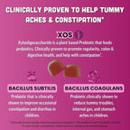 Llama Naturals Kids Probiotic with Prebiotic Fiber, Vegan, Organic Prebiotics and Probiotics Gummies for Gut Health Support, Toddler Real Fruit Gummy Vitamins, No Added Sugar Cane, Mixed Berry, 120 Ct