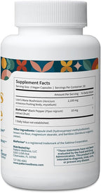 Pattern Wellness Lion’s Mane Mushroom – Supplement Capsules for Cognitive & Focus Support – Enhanced Absorption – 90 Vegan Capsules